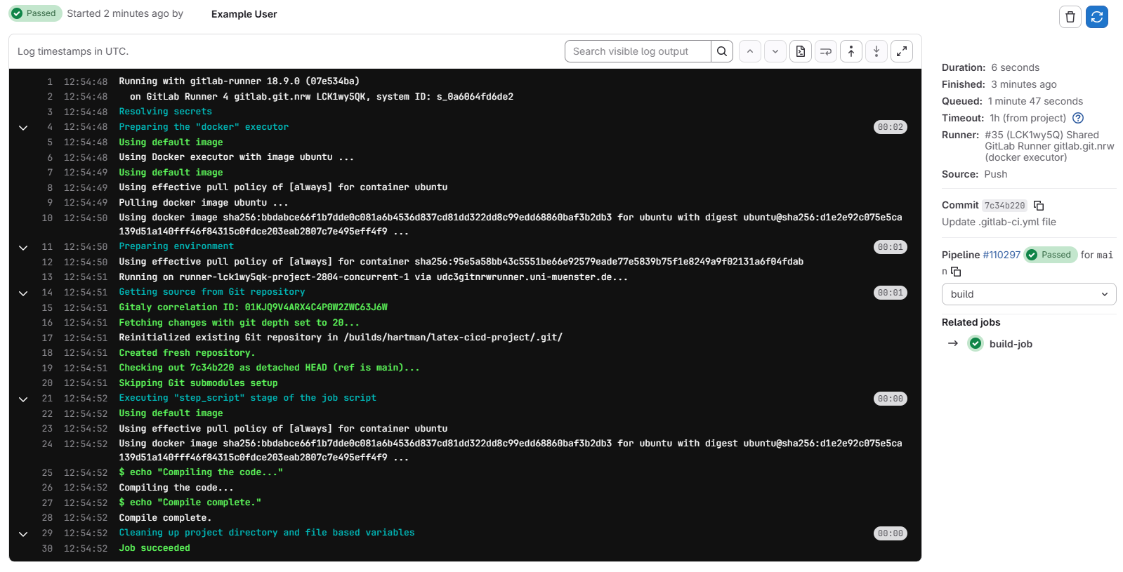 Screenshot of the job details page for a job in GitLab.