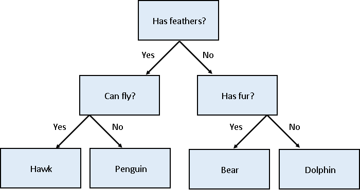 A decision tree example showing how one might classify four species of animals based on their features. The tree starts with 'Has feathers?' and branches into 'Can Fly?' and 'Has fur?'. The outcomes are Hawk, Penguin, Bear, and Dolphin