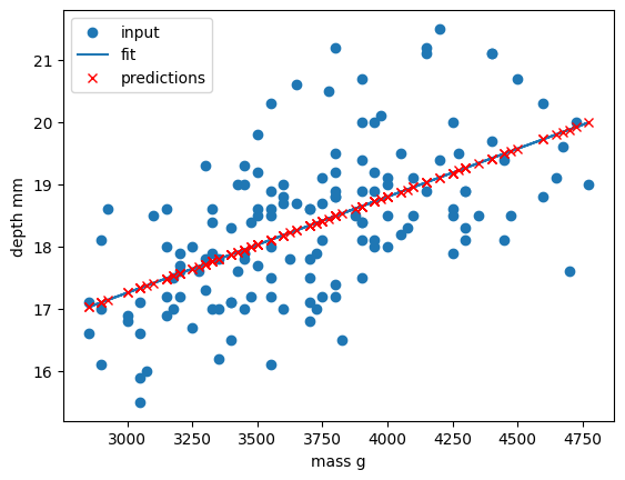 A plot of a subset of the penguin dataset with a linear regression line fitted to the data points. The points are well aligned with the linear regression line.
