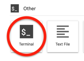 Open a Terminal