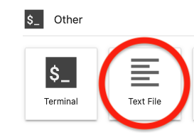 Open a Text File
